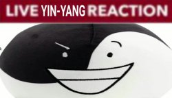 LIVE YIN-YANG REACTION Meme Template