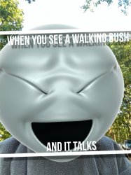When you see a bush Meme Template