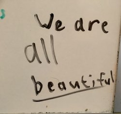 Girls say this on whiteboards Meme Template