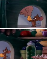 Mice don't eat too much! Meme Template