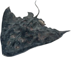 Bostang Top View Meme Template