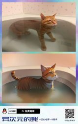 Cat in bath anime Meme Template