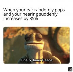 oogway ears Meme Template