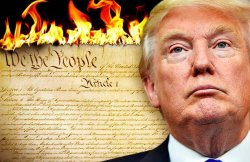 Trump burning the Constitution which he has never read Meme Template