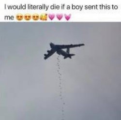 I would literally die if a boy sent this to me Meme Template