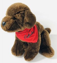 Plush Chocolate Lab With Kneckerchief Meme Template