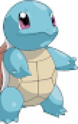 Squirtle Meme Template