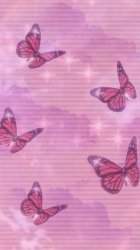 Pink butterfly background Meme Template