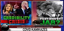 Biden credibility crisis, pilot dies by jab Meme Template
