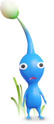 Blue Pikmin Meme Template