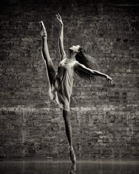 Anna McEvoy-Melo Meme Template