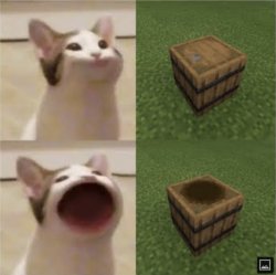 Popping Cat=Minecraft open barrel Meme Template