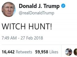 WITCH HUNT! Meme Template