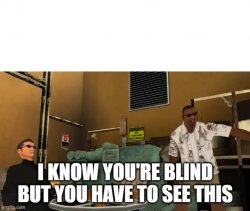 I know you're blind but you have to see this Meme Template