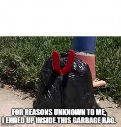 For reasons unknown to me, I ended up inside this garbage bag. Meme Template