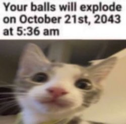 your balls with explode Meme Template