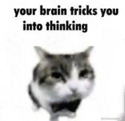 your brain tricks you into thinking Meme Template