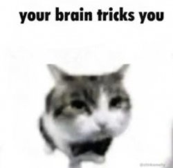 your brain tricks you Meme Template