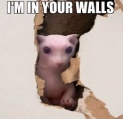 im in your walls Meme Template