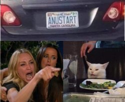 Anustart woman yelling at cat Meme Template