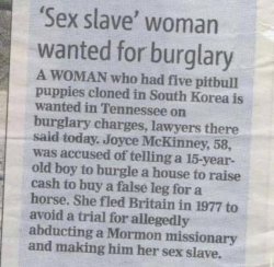 Sex slave burglary Meme Template