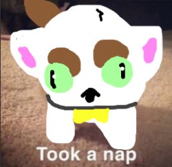 took a nap spleens Meme Template