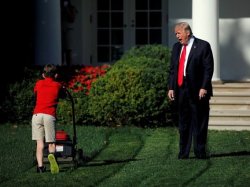 Trump Lawn Boy Meme Template