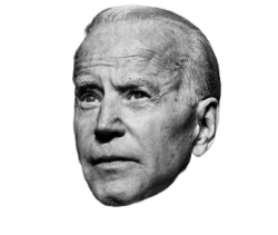 Biden Head black and white Meme Template