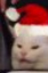 cat with Xmas hat Meme Template