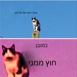 I see no god up here other then me(Hebrew) Meme Template