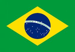 Brazil Flag Meme Template