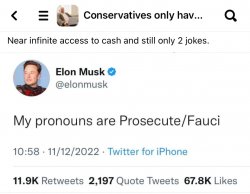 Elon Musk pronouns prosecute Fauci Meme Template