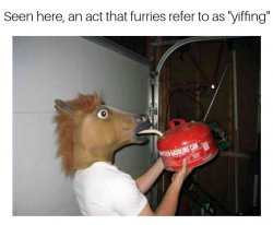 Yiff Meme Template