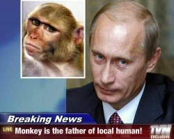 Putin monkey is the father of local human Meme Template