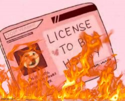 License to be horny on fire Meme Template