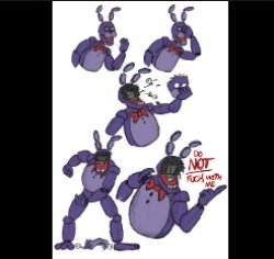 do not f**k around with bonnie Meme Template