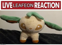 live leafeon reaction Meme Template