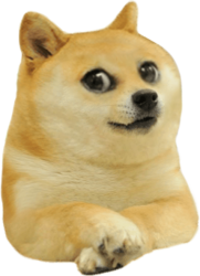 Doge kid Meme Template