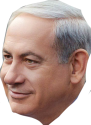 Bibi head Meme Template