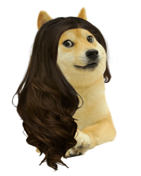 Female doge Meme Template