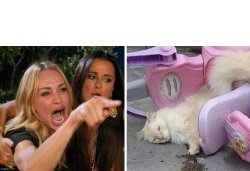 Woman Yelling at Drunk White Cat Meme Template