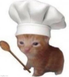 chef cat Meme Template