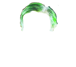 Peluca verde KKs Meme Template