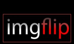 imgflip logo Meme Template