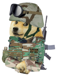 Iraq war doge, us army 2003 Meme Template