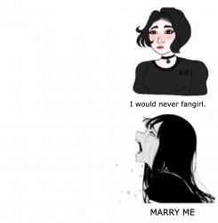 I would never fangirl Meme Template