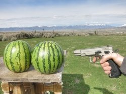 Watermelons vs gun Meme Template