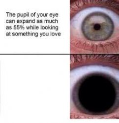 Your eye will expand Meme Template