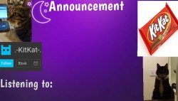 Kitty's announcment temp V3 Meme Template