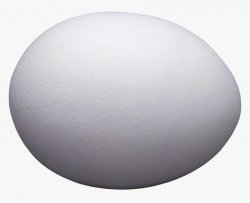 EGG Meme Template